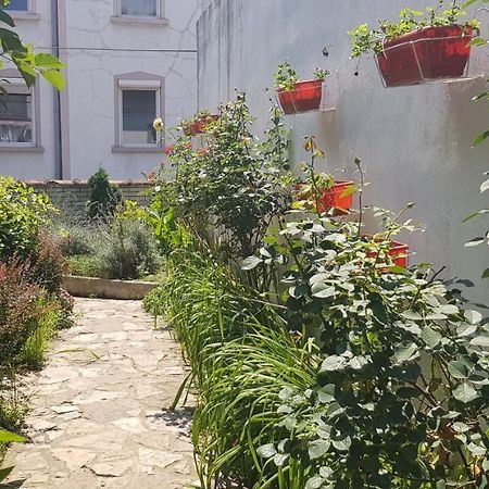 Garden Apartments Beograd Ngoại thất bức ảnh