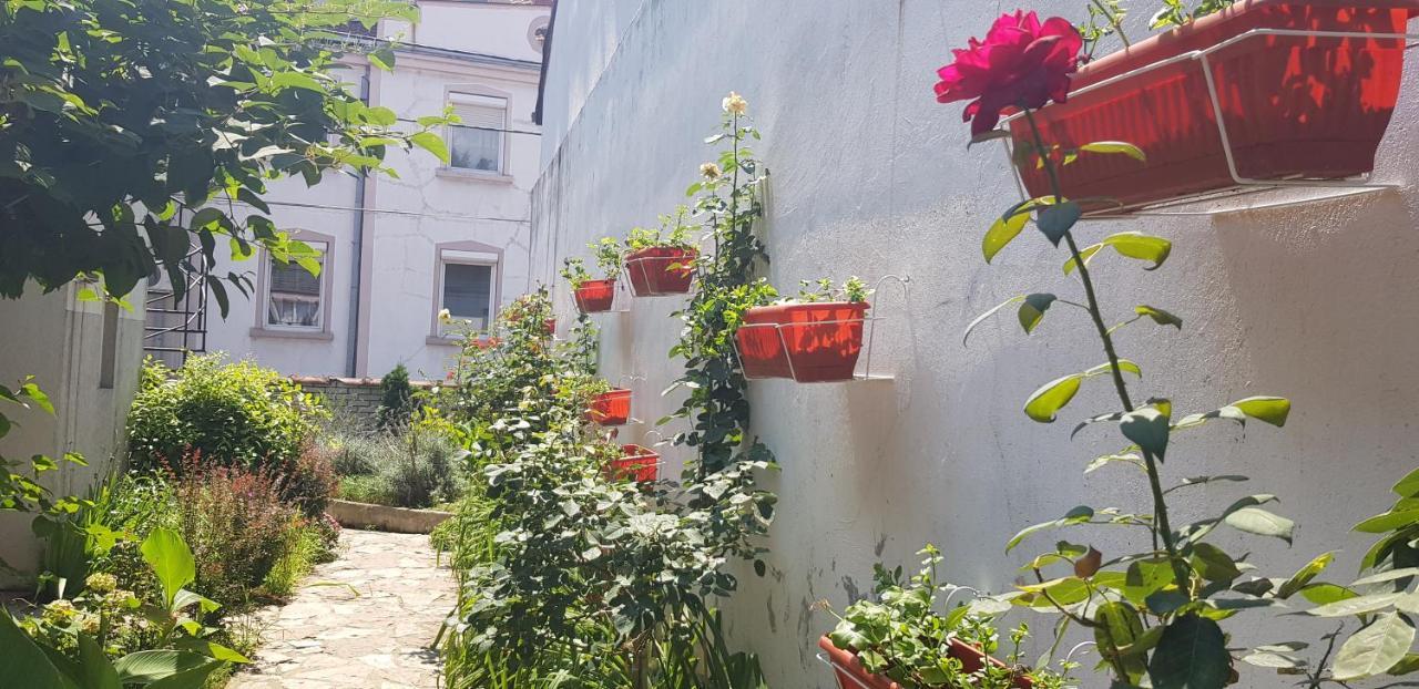 Garden Apartments Beograd Ngoại thất bức ảnh